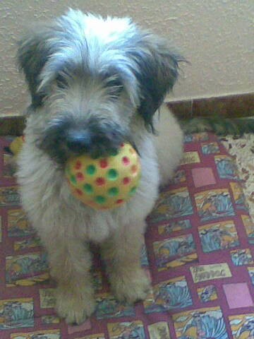 Aquí con 4 meses y una de sus pelotas preferidas.